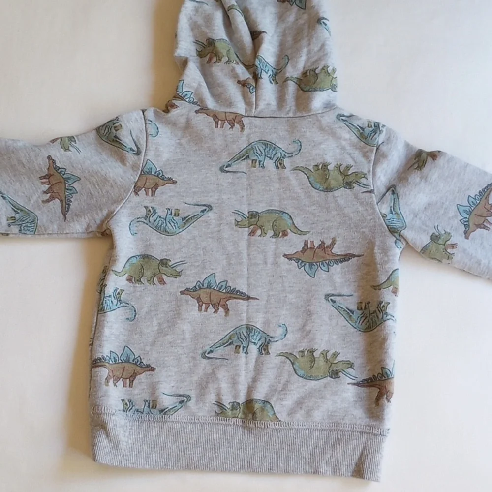 3 Pcs Carter's Dinosaur Hoodie Gap T-shirt H&M Skull Cap 2T